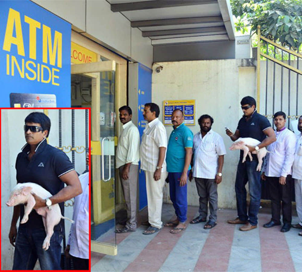 south indian star ravi babu with his piglet
