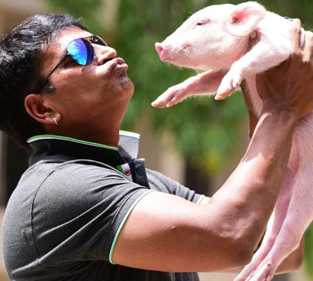 south indian star ravi babu with his piglet