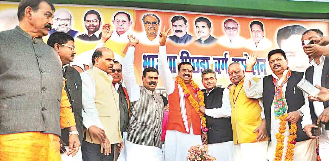 bjp leader told