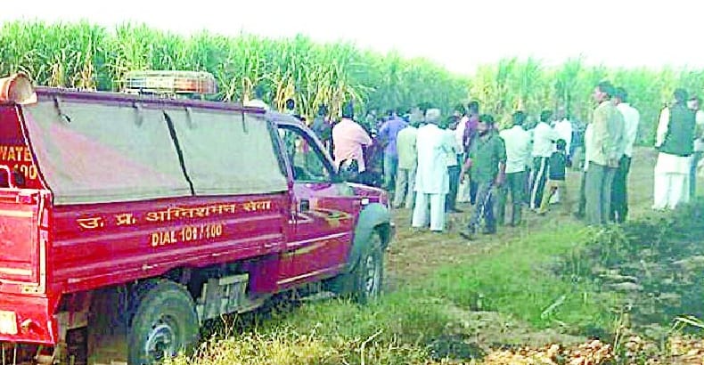 The spark came from the stars burned 65 acres of sugar cane