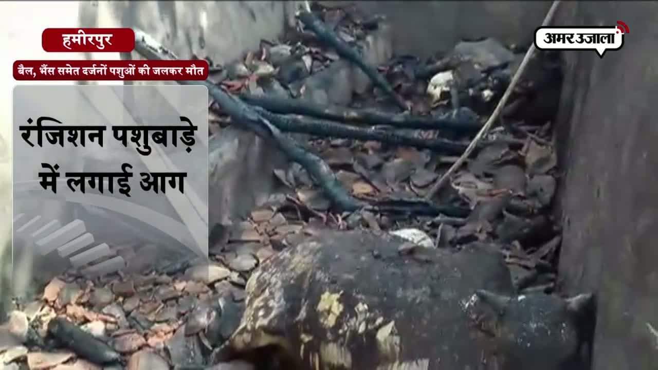 पशुबाड़े में लगी आग