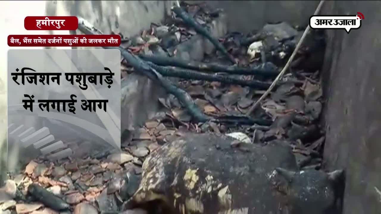 पशुबाड़े में लगी आग