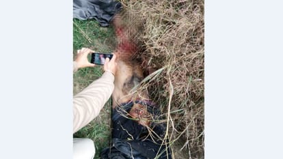 A Leopard attacked and Killed a Person at Bilaspur.