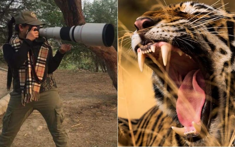 wildlife photographer abhilasha singh is closely related with mulayam singh