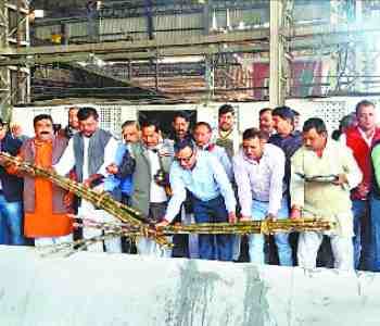 Balrampur Chini Mills crushing season start