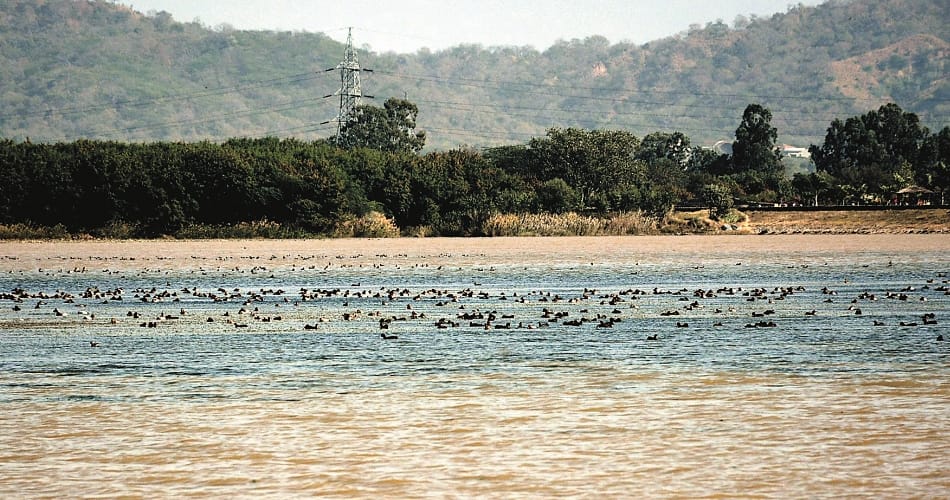 dead body of five year old child found in sukhna lake