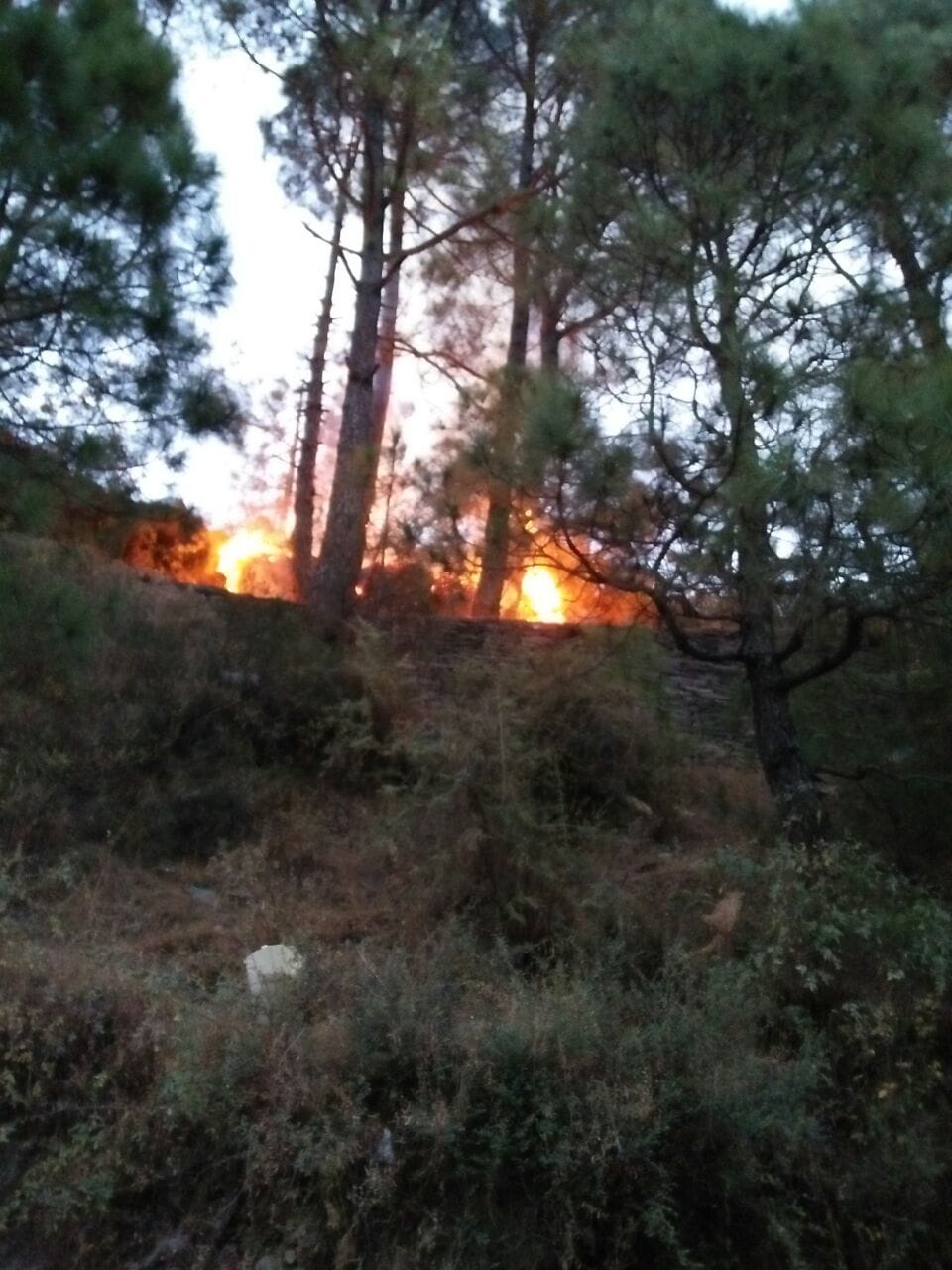 fire in karian forest