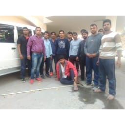 12 bull found in a truck, arrest one, case, crime news, Bahadurgarh