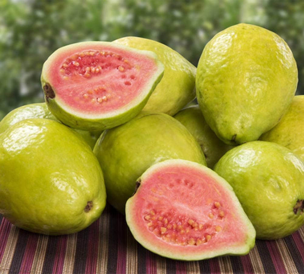 12 benefits of guava