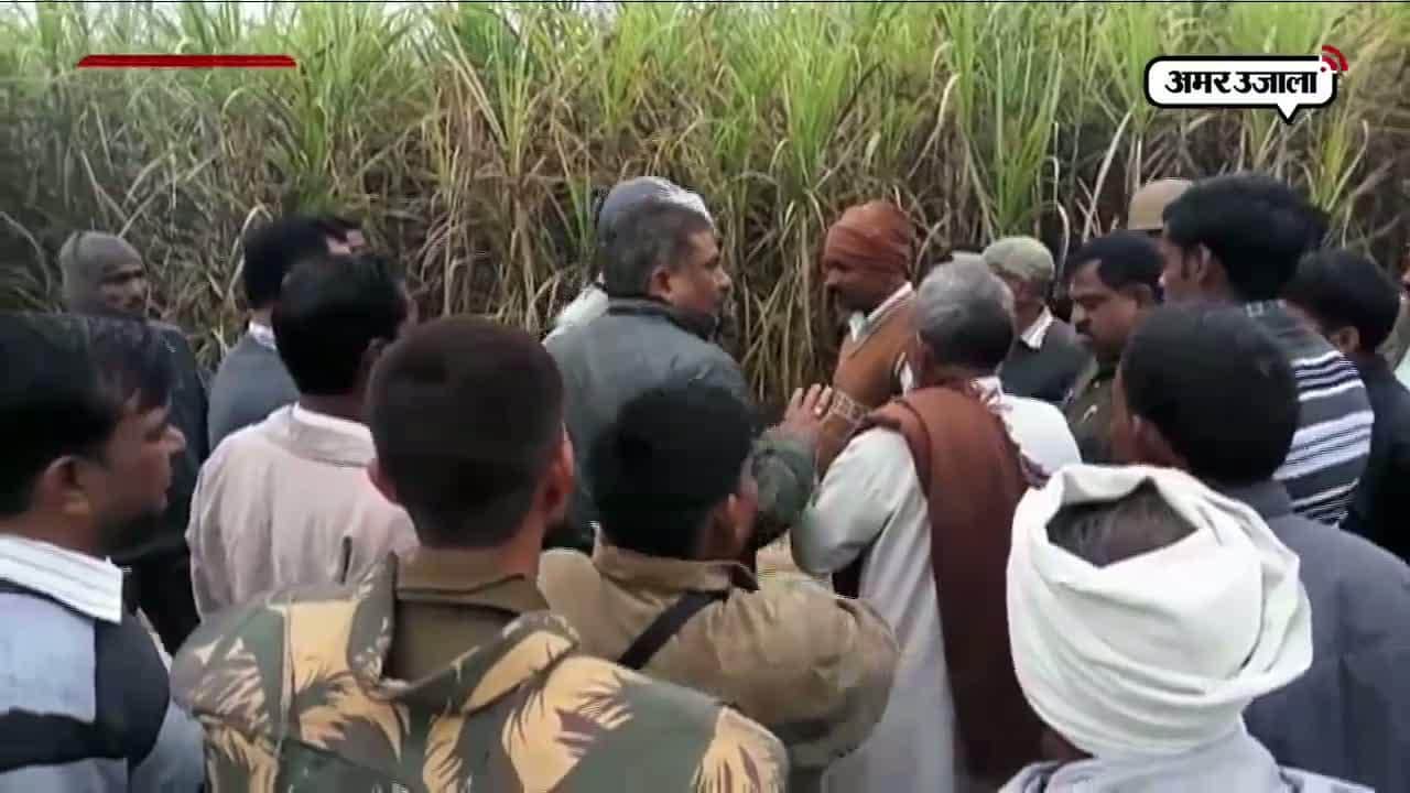 पीलीभीत, बाघ, किसान 