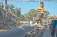 sugur mill, not found labour, farmer tense, kaithal