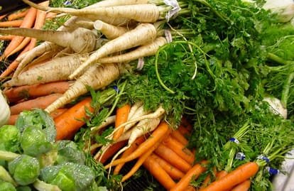 Why Vegetables Should be Washed Properly.