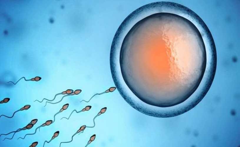 Contraceptive Injections For Males
