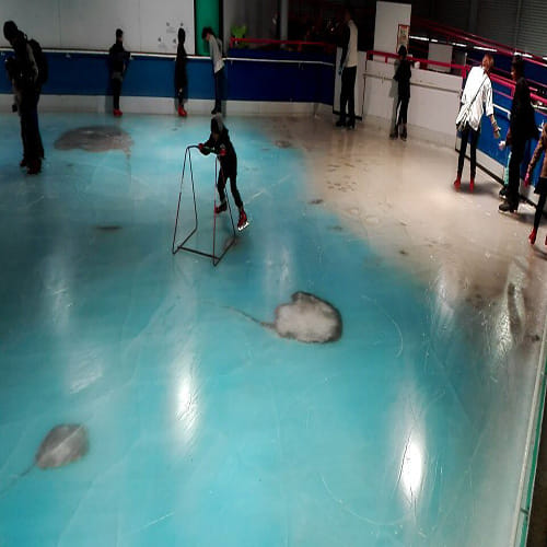 Japanese aquarium sparks outrage with ice rink that has thousands of fish frozen