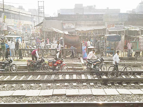 4 cows died in train accident