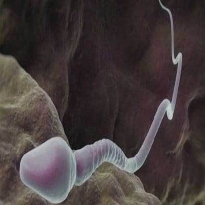 Contraceptive Injections For Males