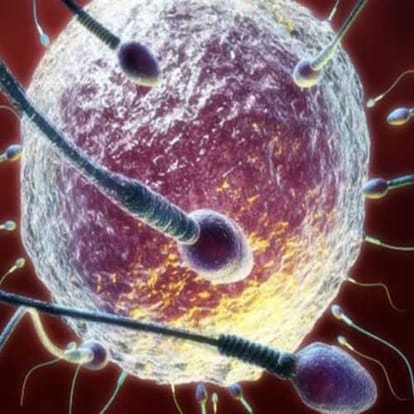 Contraceptive Injections For Males