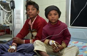 20 children ill from eating the fruit of Jatropha