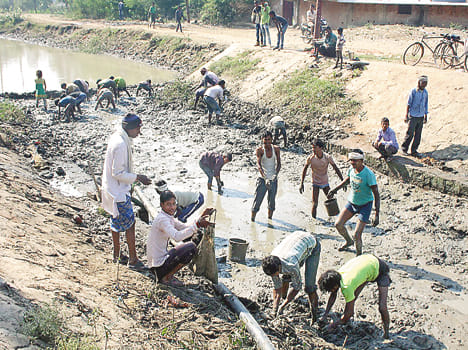 Fish caught in the quagmire of the canal filled stomach