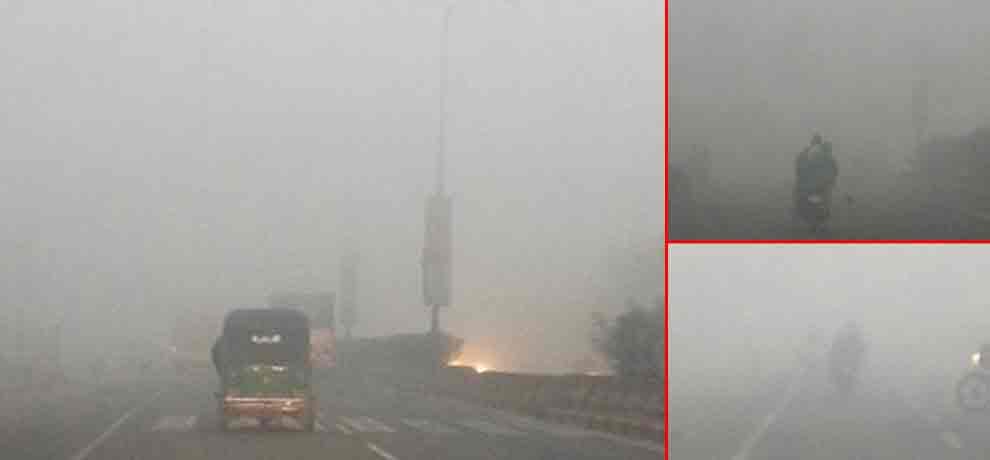 heavy fog in delhi-ncr slow down traffic