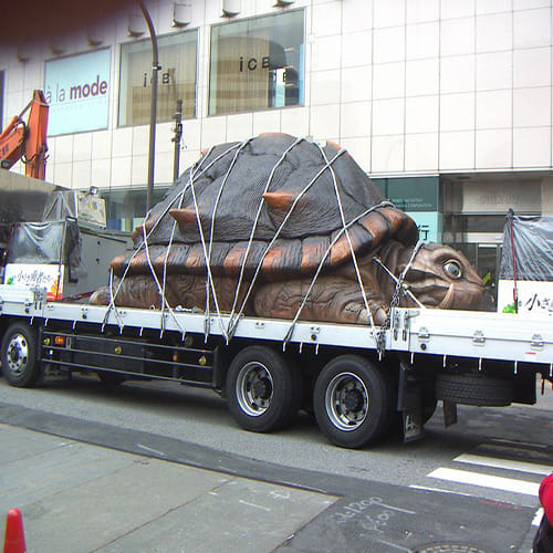 Giant Turtle found in Japan 