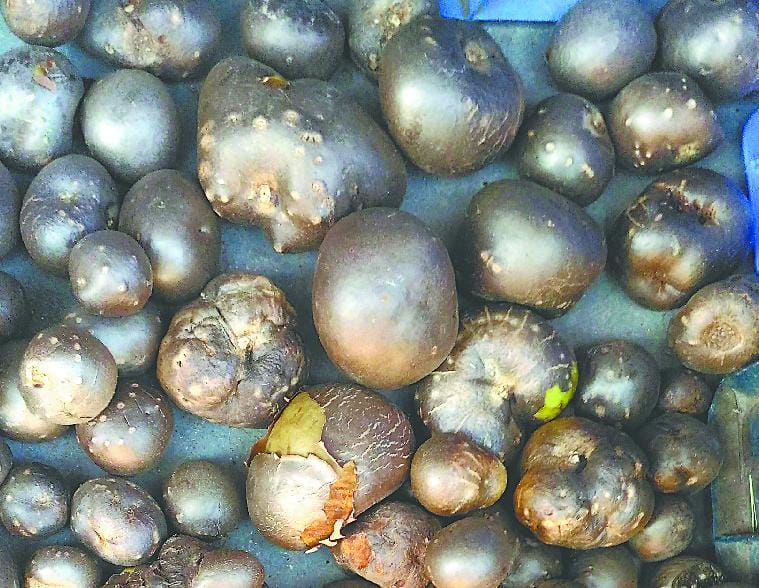 Giti potato yam is a very handy