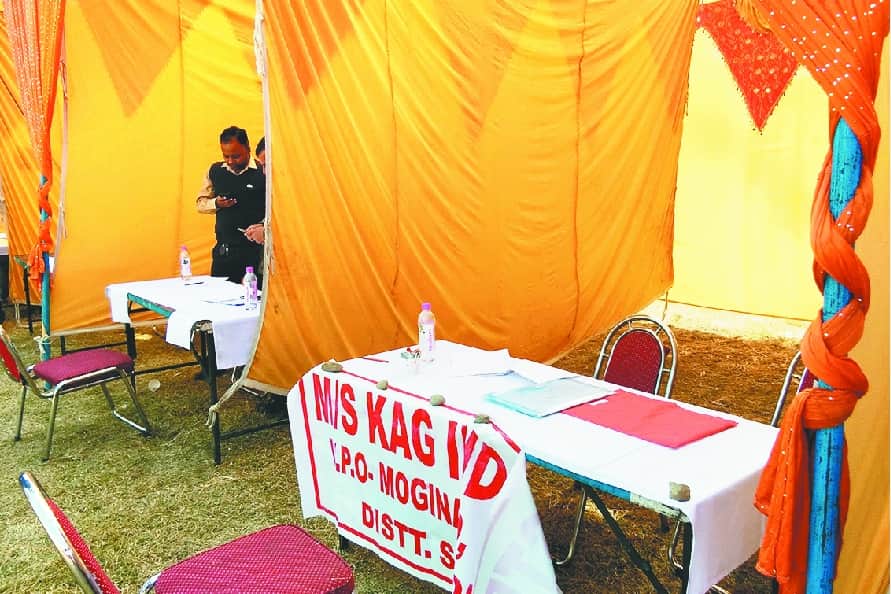 golden chance of job 