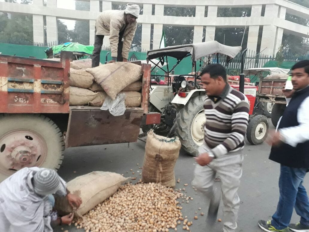 farmers distributed free potato to protest against currency ban
