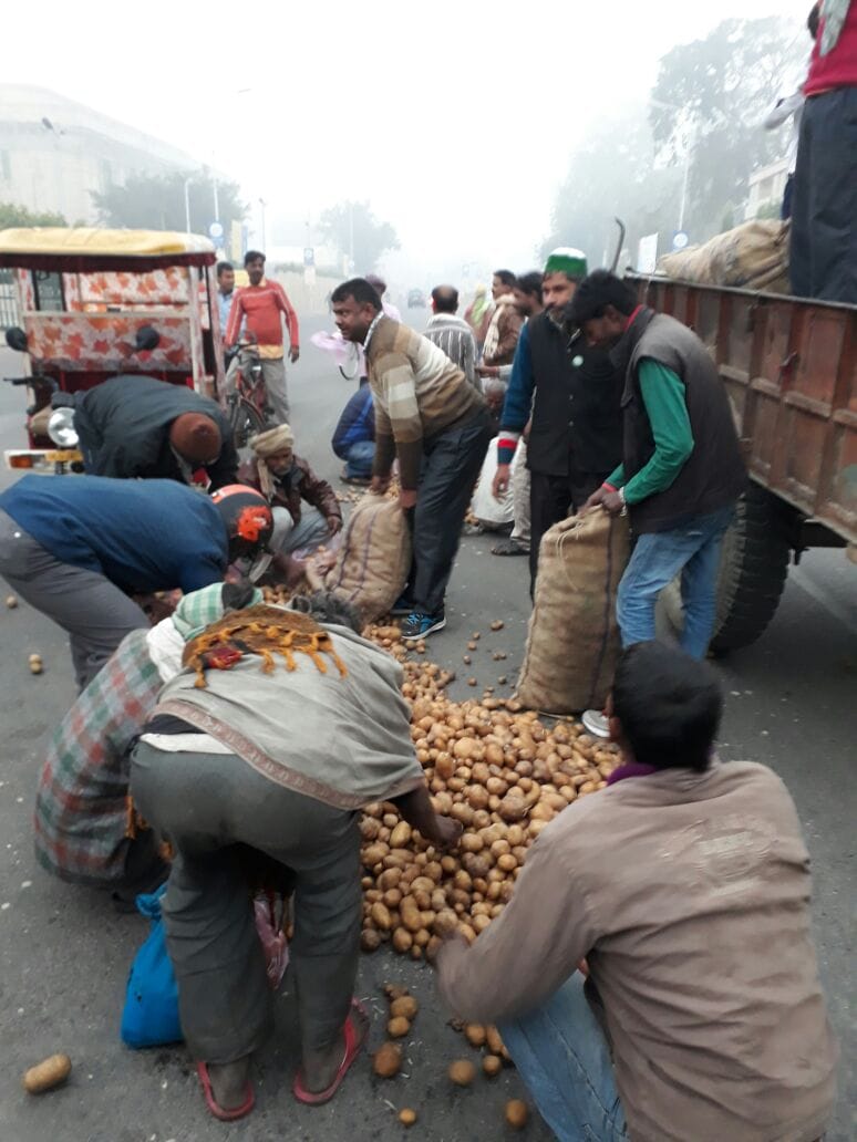 farmers distributed free potato to protest against currency ban