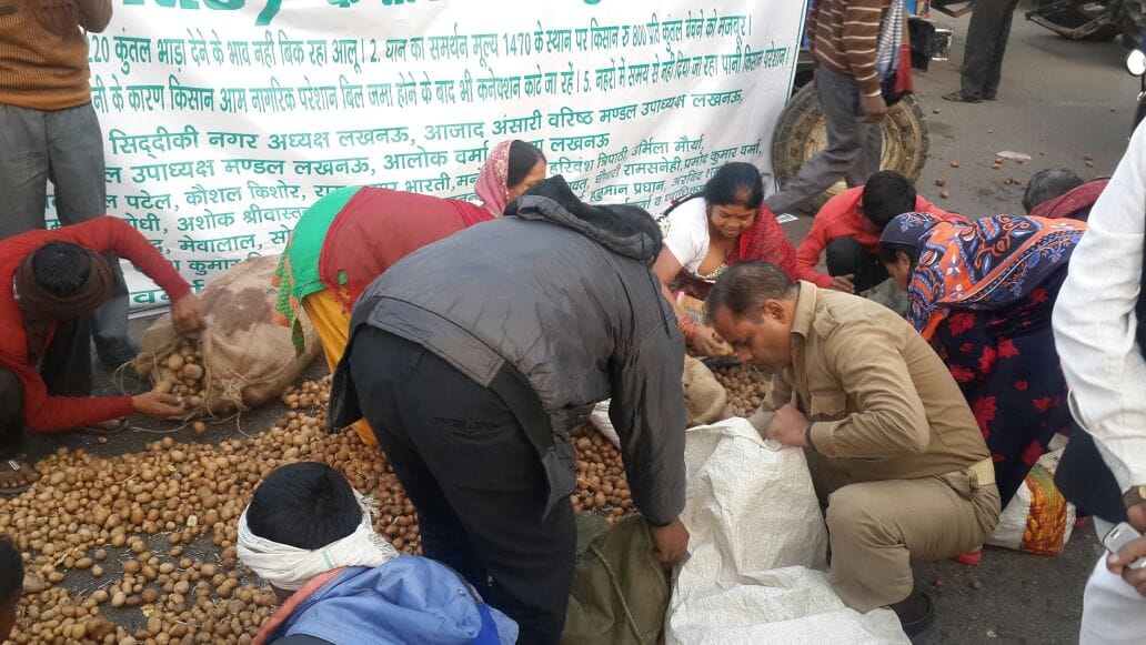 farmers distributed free potato to protest against currency ban