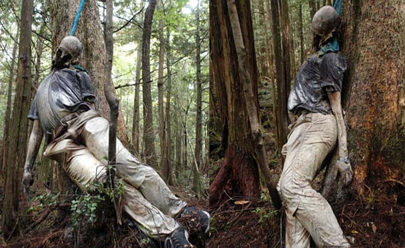 aokigahara forest japan's favourite suicide point