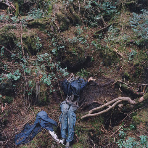 aokigahara forest japan's favourite suicide point