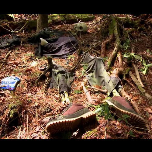 aokigahara forest japan's favourite suicide point