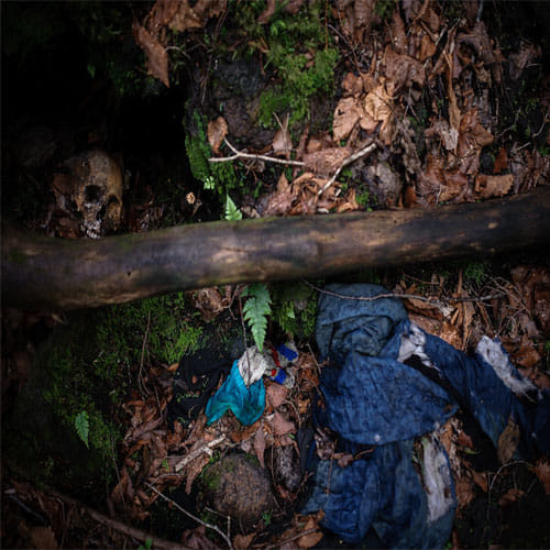 aokigahara forest japan's favourite suicide point