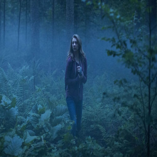 aokigahara forest japan's favourite suicide point