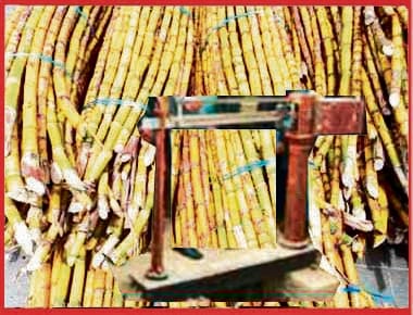 The lack of sugar cane 
