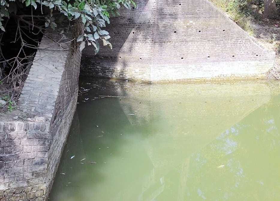 Mrin fish in the pond, accused of mixing poison