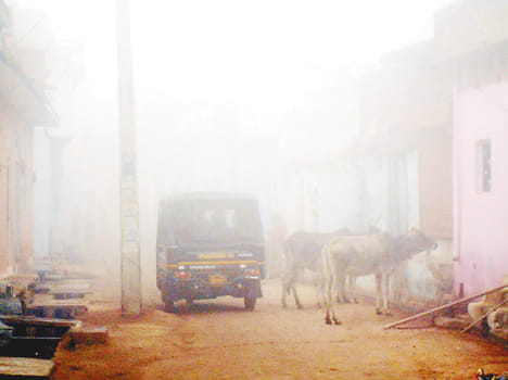 Knock, said the cold with fog