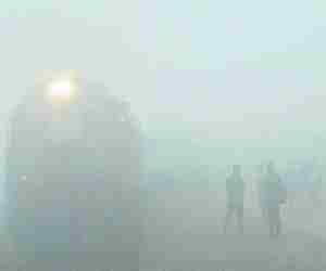 Fog thickens along with cold