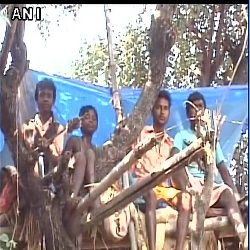 Family in Ranchi forced to live on trees because of terror of rampaging elephants