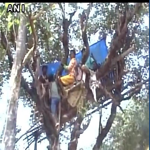 Family in Ranchi forced to live on trees because of terror of rampaging elephants