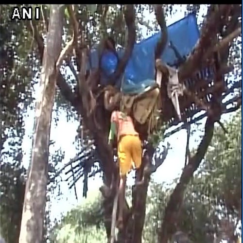 Family in Ranchi forced to live on trees because of terror of rampaging elephants