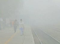 fatehabad, fog, train stop, train slow, passangers unhappy,   fatehabad,  harayana