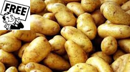  कोल्ड स्टोरेज मालिकों की मानें तो मिल में आलू रखने वाले कई किसान अपनी उपज के मूल्य के बराबर फसल बोने के लिए ऋण भी लेते हैं