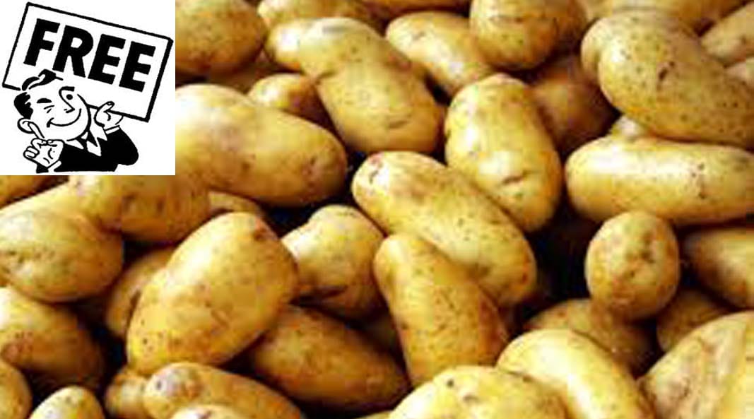 Get free potatoes from cold storage