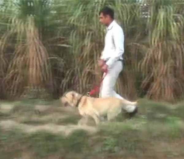 Kidnapped and murdered in gohana haryana, sonipat news