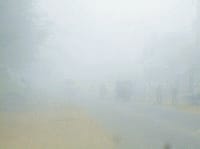 fog, weather, train, bus, transportation, jind