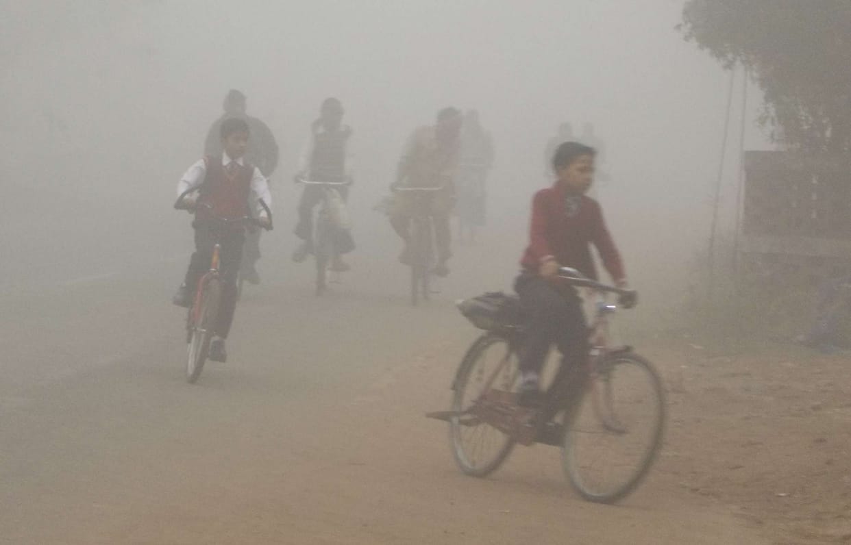 fog disturbing the traffic