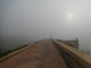 fog train roots