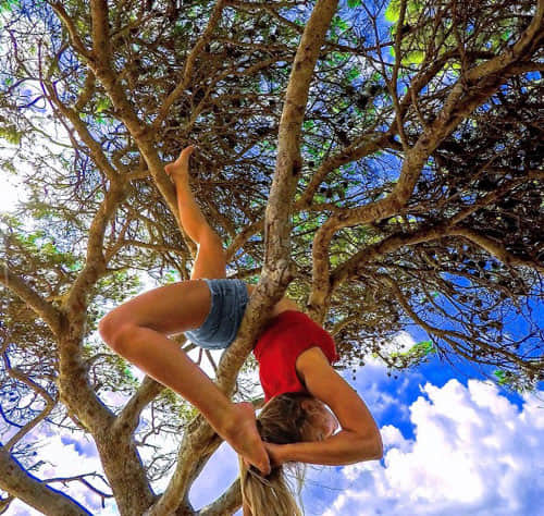 female pilot got famous for hot yoga pictures